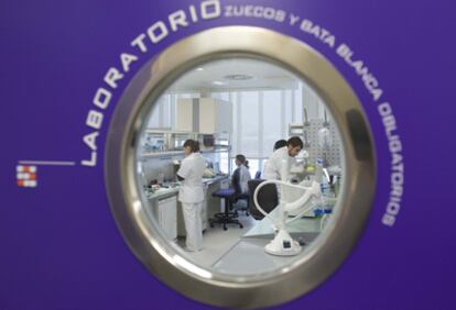 Miembros del equipo trabajaban ayer en el nuevo laboratorio de Genetadi en el Parque Tecnológico de Zamudio.