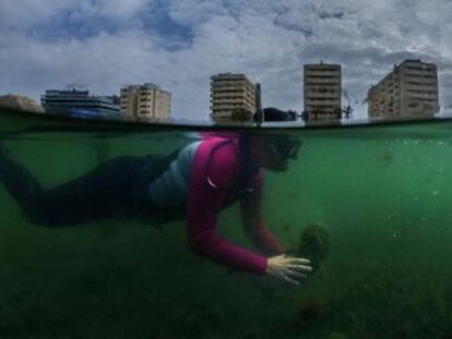 Mar Menor, cuando el desprecio al medio ambiente se vuelve contra nosotros.