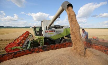 Recogida de trigo en la región rusa de Tarstan.