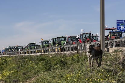 Una manifestación de agricultores con tractores provoca cortes em la A49, en la provincia de Sevilla.