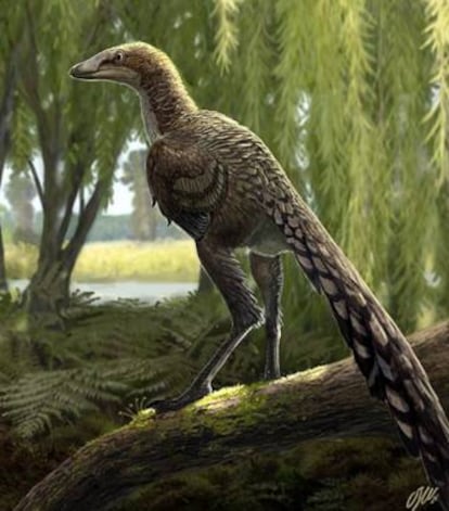 Reconstrucció del 'Tamarro insperatus'.