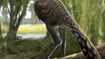 Reconstrucció del 'Tamarro insperatus'.