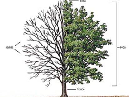 Ilustración del primer tomo de <i>La Enciclopedia.</i>