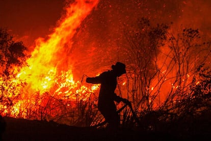 Un hombre extingue un incendio en un bosque en Rambutan (Sumatra). 