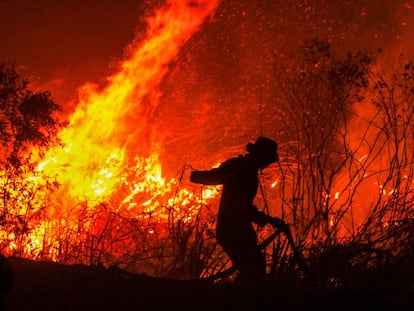 Un hombre extingue un incendio en un bosque en Rambutan (Sumatra). 