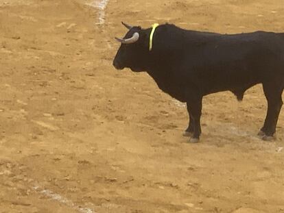 Toro lidiado el pasado 20 de agosto en la Feria de Almería.