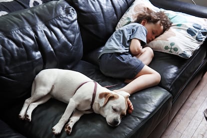 Siesta verano niños