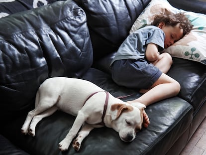 Un niño duerme la siesta con su perro.