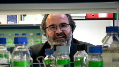 El investigador del CSIC Lluís Montoliu fotografiado en un laboratorio en octubre de 2021.