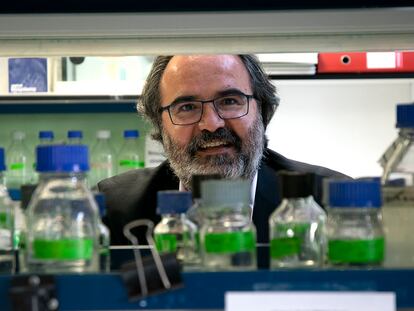 El investigador del CSIC Lluís Montoliu fotografiado en un laboratorio en octubre de 2021.