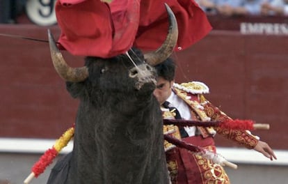 El torero Fernando Cruz en una corrida en Las Ventas. 