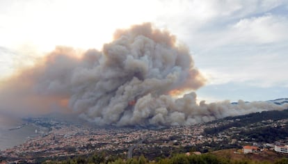 A fumaça do incêndio se ergue sobre Funchal, ilha da Madeira (Portugal).