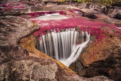 Caño Cristales, en Colombia, es considerado por muchos como el río más bonito del mundo.