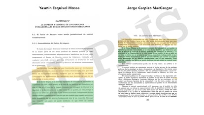 Yasmín Esquivel tesis plagiada