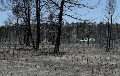 D&iacute;as despu&eacute;s del incendio la ceniza continua cubri&eacute;ndolo todo. 