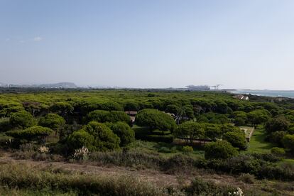 La Casa Gomis, de Antonio Bonet Castellana, envuelta de pinos. Al fondo a la derecha los tinglados de los nuevos diques del puerto de Barcelona, a la izquierda, Montjuïc.