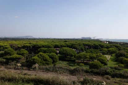 La Casa Gomis, de Antonio Bonet Castellana, envuelta de pinos. Al fondo a la derecha los tinglados de los nuevos diques del puerto de Barcelona, a la izquierda, Montjuïc.
