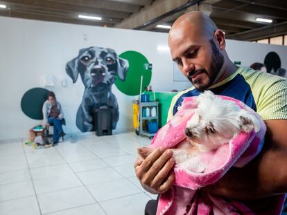 El brasileño André Luiz Barbisa espera que su perro sea atendido, el miércoles pasado, en el Hospital Veterinario Municipal Norte de São Paulo, uno de los cuatro de la ciudad.