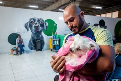 Hospital de mascotas en Brasil