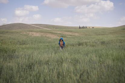 Un niño camina por unos campos cubiertos de hierba cerca de Beersheva, Israel