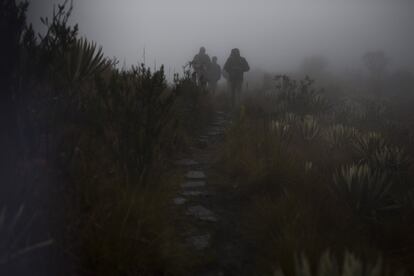 Páramo en el Parque Nacional de Chingaza, en Colombia