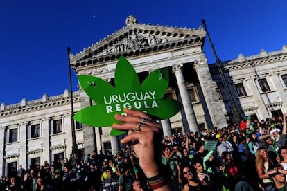 Simpatizantes de la legalización de la marihuana afuera del parlamento uruguayo