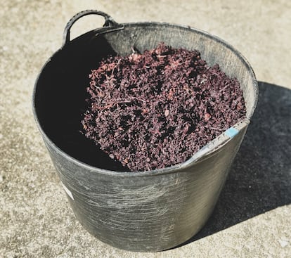 Cubo con bagazo, el residuo resultante de la trituración, presión o maceración de frutos, semillas o tallos para extraerles su jugo.

