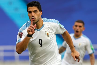 Luis Suárez celebra un gol con la selección uruguaya