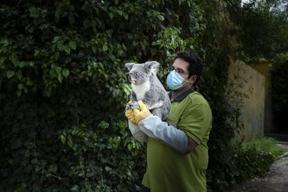 Visita al zoo de Madrid mes y medio despus de que se decretase el estado de alarma.