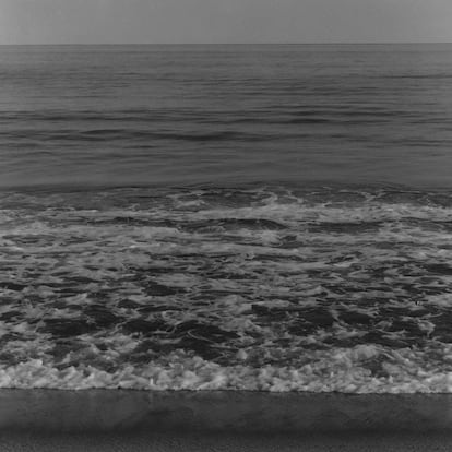  

	Robert Mapplethorpe
	Waves, 1980