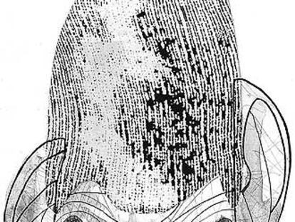 Caricatura de Maragall