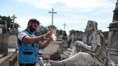 Un trabajador sanitario soltaba mosquitos modificados con la bacteria wolbachia, el día 2 en el cementerio São Francisco Xavier de Río de Janeiro.
