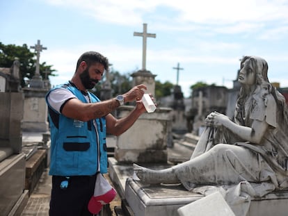 A health worker releases mosquitoes that have been modified with the Wolbachia bacteria. Pictured at the São Francisco Xavier Cemetery in Rio de Janeiro.