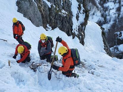 Parte del equipo de rescatadores que, durante cuatro semanas, buscó el cuerpo sin vida de Virgilio, uno de los dos operarios de la fresadora que se tragó la nieve el pasado 1 de enero.