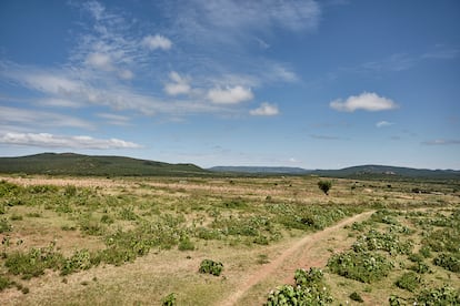 Vista panorámica de una aldea de Loliondo, al norte de Tanzania, en la frontera con Kenia.