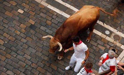 Un mozo se acerca a uno de los toros de la ganadería Puerto de San Lorenzo, que han protagonizado el encierro de este domingo.