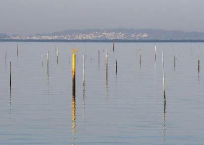 A shellfish extraction area in Villagarcia de Arousa.