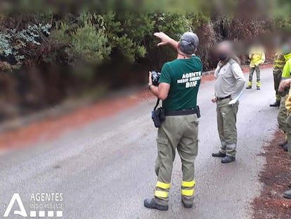 Miembros de la Brigada de Investigación de Incendios Forestales trabajan en el reconocimiento de la zona afectada por el incendio de Sierra Bermeja, en Málaga. / INFOCA