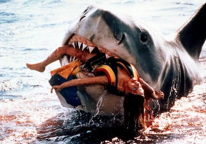 A scene from ‘Jaws’ that needs no explanation.

