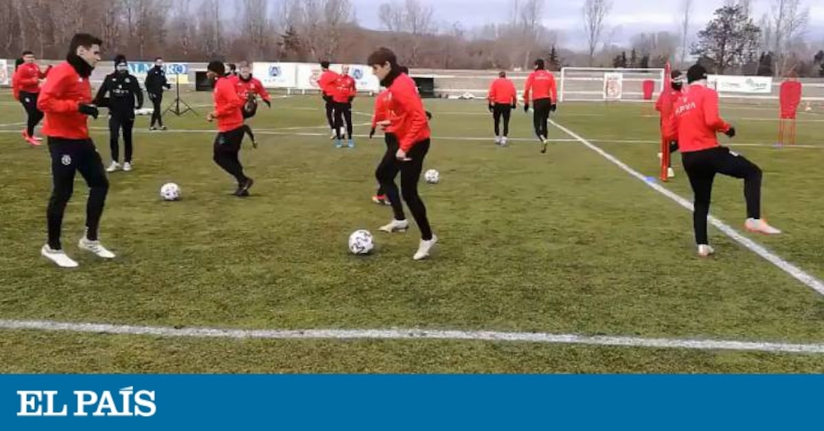 León FC: Catarí Investment Holds Despite Football Setback