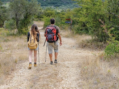 6.000 kilómetros entre sierras, bosques y playas: así es el Palmilhar Portugal, el sendero circular más largo del mundo