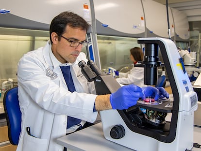 El investigador Miguel Flores-Bellver, en el laboratorio del CellSight de la Universidad de Colorado (EE UU). Al fondo, Valeria Canto-Soler.