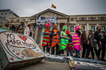 Integrantes de las plataformas ciudadanas que han presentado la iniciativa popular en defensa del mar Menor, este martes frente al Congreso.