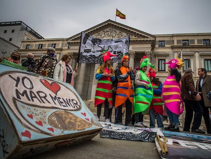 Integrantes de las plataformas ciudadanas que han presentado la iniciativa popular en defensa del mar Menor, este martes frente al Congreso.