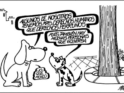 FORGES