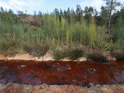 Drenaje &aacute;cido en un arroyo pr&oacute;ximo a la vieja explotaci&oacute;n de cobre de Touro, donde se proyecta una nueva mina.