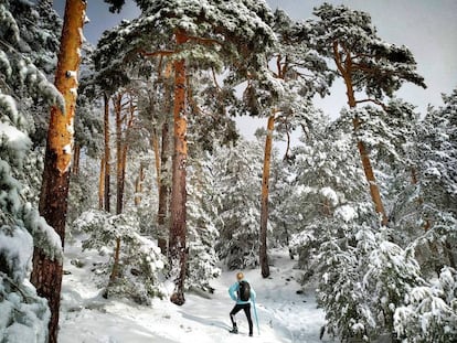 Ruta con raquetas de nieve en el Camino Schmid, en la localidad madrileña de Cercedilla.