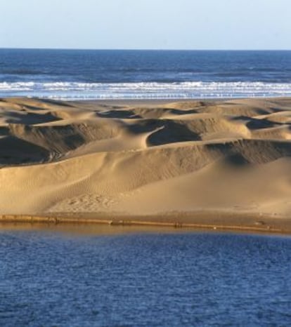 Zona de dunas entre la playa de Tan-Tan y Tarfaya, al sur de Marruecos.