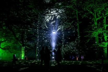 Los visitantes se detienen a mirar los árboles que se iluminan para la Navidad en el parque de Nacional de Westonbirt, Gloucestershire (Inglaterra), 27 de noviembre de 2013.