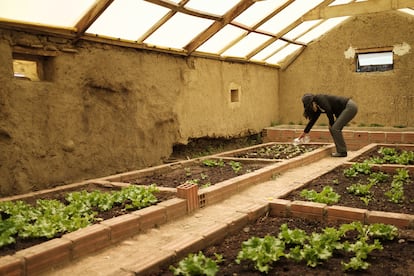 Evelyn, una de las maestras de la comunidad de Siete Lagunas, riega las lechugas que han plantado sus alumnos.